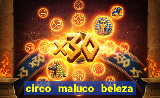 circo maluco beleza recife circo maluco